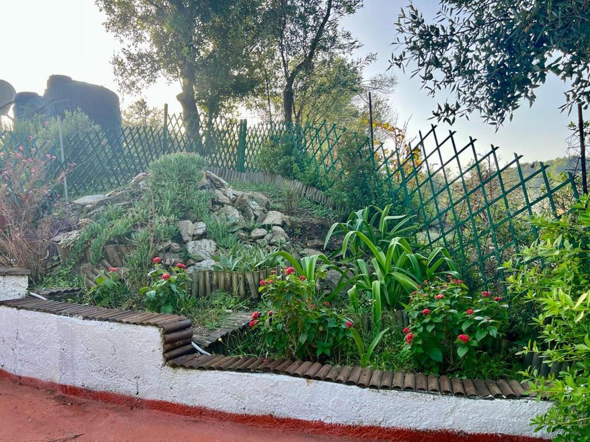 Villa Platanias Agia Paraskevi (Skiathos) Exterior foto